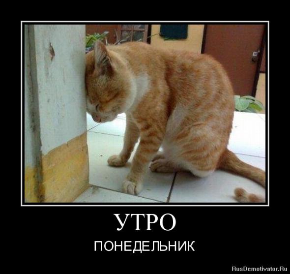 Нажмите на изображение для увеличения
Название: 09a20801b4325cc0c0292b3c8da_prev.jpg
Просмотров: 48
Размер:	27.2 Кб
ID:	6241
