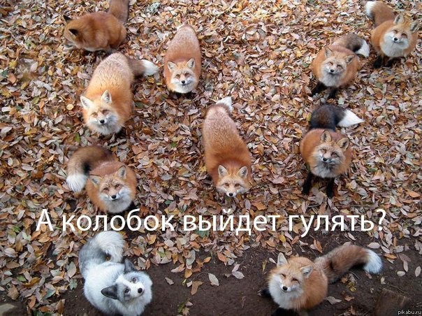 Нажмите на изображение для увеличения
Название: 221.jpg
Просмотров: 38
Размер:	52.4 Кб
ID:	6687