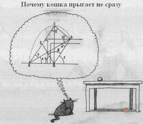 Название: cat52.jpg
Просмотров: 58

Размер: 48.5 Кб