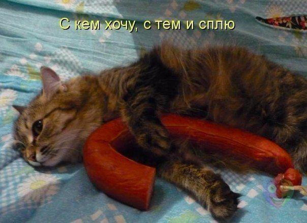 Название: прикол2.jpg
Просмотров: 212

Размер: 45.6 Кб