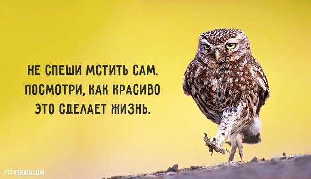 Нажмите на изображение для увеличения
Название: 0_180ec8_abc04f31_orig.jpg
Просмотров: 34
Размер:	27.7 Кб
ID:	7620