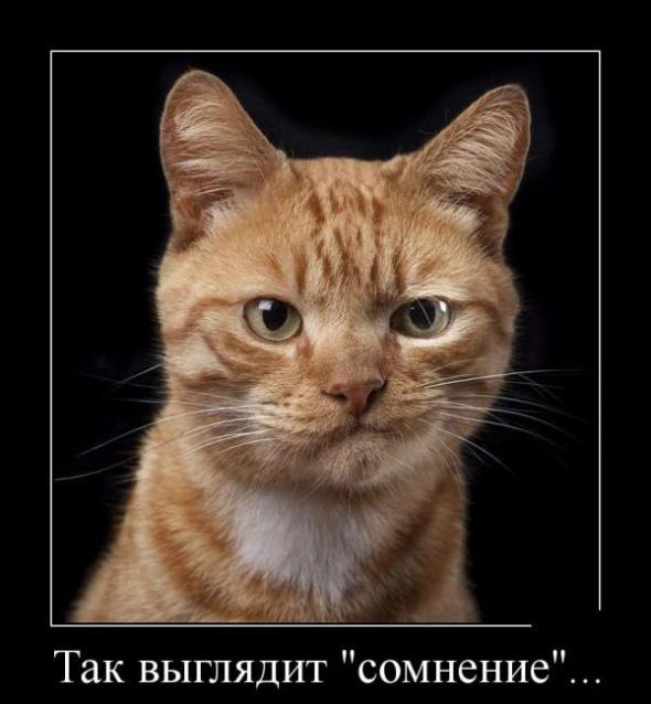 Нажмите на изображение для увеличения
Название: 15f3a6ee885bd393ecf24b6fbdd_prev.jpg
Просмотров: 68
Размер:	24.6 Кб
ID:	7760