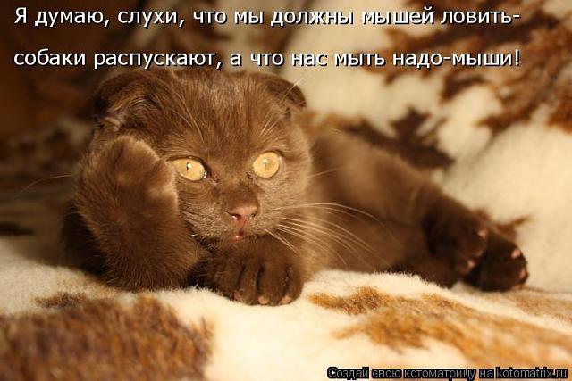 Нажмите на изображение для увеличения
Название: 12004864_484334675058435_6798418466854637153_n.jpg
Просмотров: 38
Размер:	41.0 Кб
ID:	7788