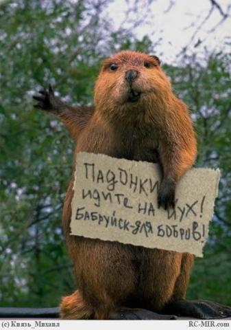 Название: бобруйск.jpg
Просмотров: 162

Размер: 29.0 Кб