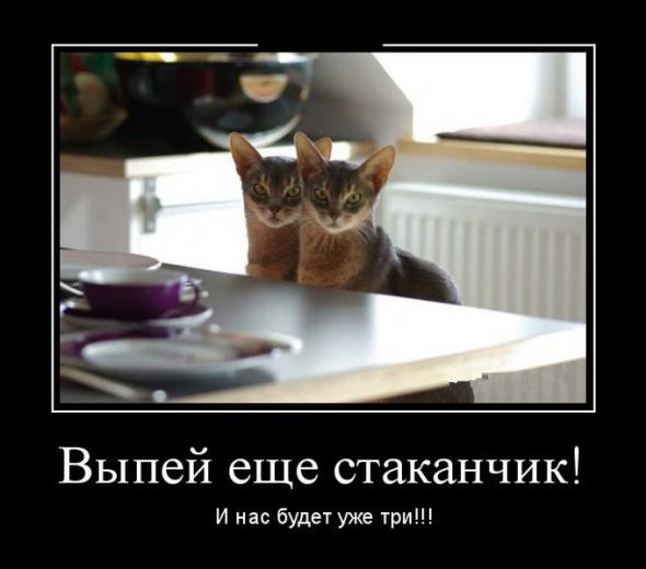 Нажмите на изображение для увеличения
Название: 0ce2c973dde68b8411e865a52da_prev.jpg
Просмотров: 54
Размер:	26.1 Кб
ID:	7877