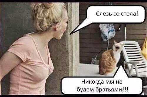 Название: aQ3sV0adcnQ.jpg
Просмотров: 365

Размер: 31.1 Кб