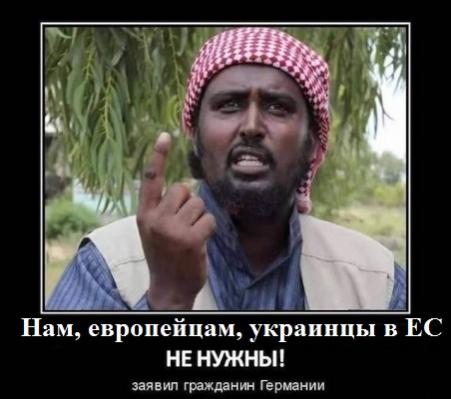 Название: 6584986.jpg
Просмотров: 63

Размер: 27.9 Кб