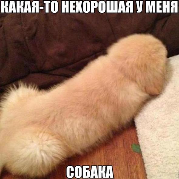 Нажмите на изображение для увеличения
Название: 224eb5e2759590425e02375ef38_prev.jpg
Просмотров: 78
Размер:	29.4 Кб
ID:	8385