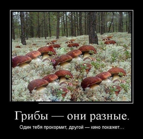 Нажмите на изображение для увеличения
Название: 05530837f20be665c36e8aebff5_prev.jpg
Просмотров: 159
Размер:	45.9 Кб
ID:	8672