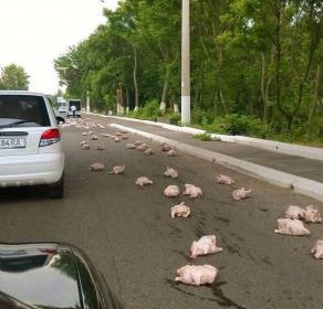 Название: QKGlrv1uihSKQg0anKNYNhcLddv1aT.img.jpg
Просмотров: 80

Размер: 16.3 Кб