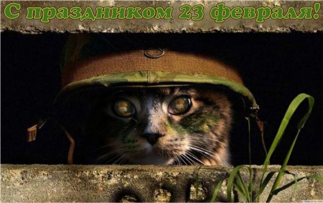 Название: Кот вояка.jpg
Просмотров: 353

Размер: 45.3 Кб