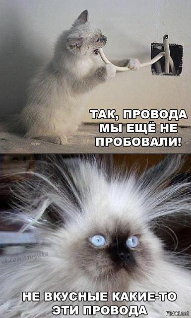 Нажмите на изображение для увеличения
Название: 65f175e995f94f0cd6e1b7a427a0e711.jpg
Просмотров: 50
Размер:	25.3 Кб
ID:	9032
