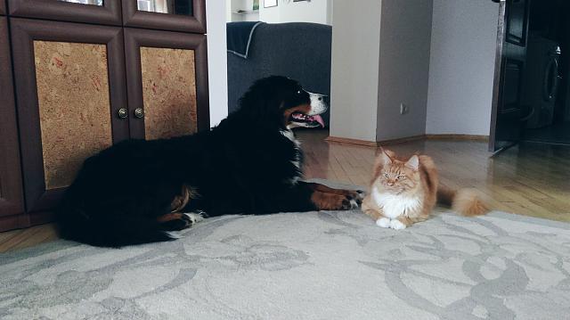 Нажмите на изображение для увеличения
Название: 2016-03-19 10.50.59 1.jpg
Просмотров: 202
Размер:	25.8 Кб
ID:	9642