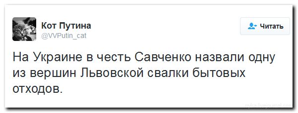 Название: 21414c6.jpg
Просмотров: 356

Размер: 27.0 Кб