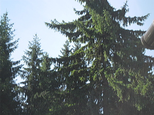 Нажмите на изображение для увеличения
Название: Лавка Либхен1.jpg
Просмотров: 72
Размер: 14.6 Кб
ID: 3921